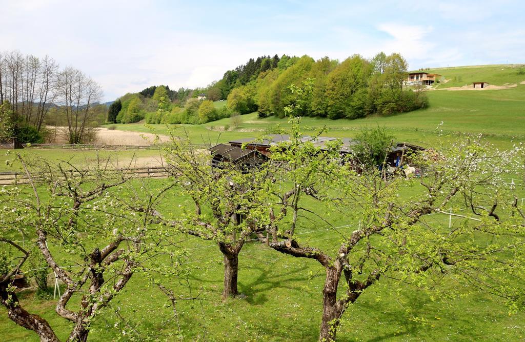 Familienparadies Reichenhauser Keutschach am See Exterior photo